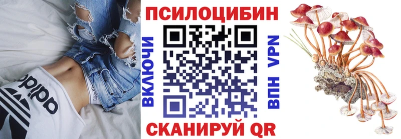Галлюциногенные грибы ЛСД Слюдянка